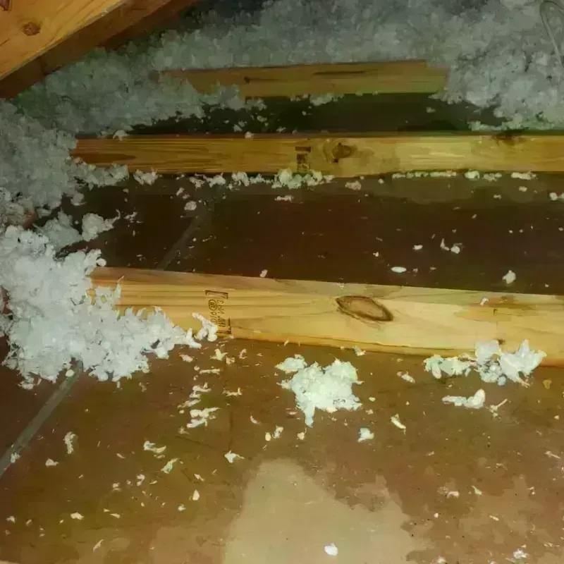 Attic Water Damage in Harvard, IL