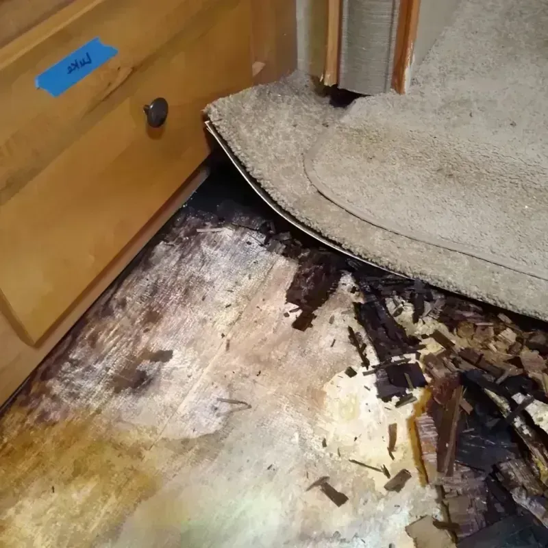 Wood Floor Water Damage in Harvard, IL